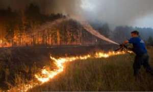 Лесные пожары в Приморье угрожают китайцам и тиграм. Фото: Дейта.Ru