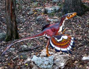Птицеподобный Bambiraptor: на полпути к превращению в птицу (фото spiffytumbleweed).