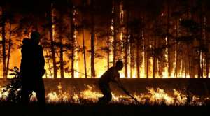 Лесной пожар. Фото: http://tengrinews.kz