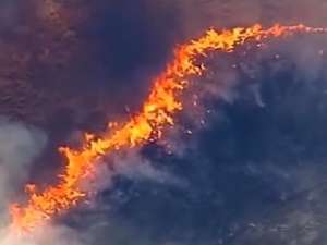 Лесные пожары бушуют в американском штате Техас. Фото: Вести.Ru
