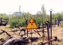 Чернобыльская зона. Фото: http://newsland.ru