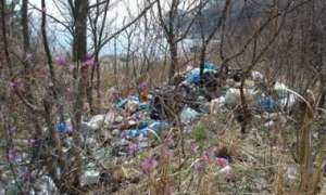 Жемчужина побережья утопает в мусоре. Фото: http://files.deita.ru