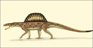 Xilousuchus sapingensis. Фото: http://science.compulenta.ru