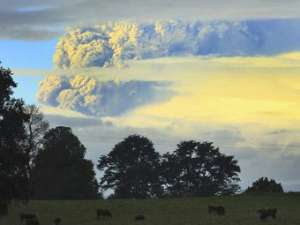 Столб пепла над вулканом Пуйеуэ. Фото ©AP
