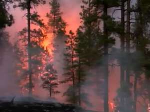 Пожар в Аризоне. Фото: Вести.Ru