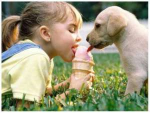 Девочка и собака. Фото: http://mail.ru