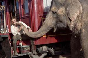 На съемках фильма &quot;Воды слонам!&quot; животных дрессировали электрошоком. Фото: Вести.Ru