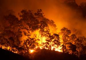 Лесные пожары. Фото: http://www.libelium.com