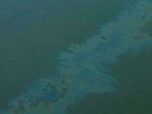 Нефть по-прежнему загрязняет побережье Мексиканского залива. Фото: Вести.Ru