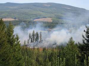 Лесные пожары в Канаде. Фото: http://ca24.ru