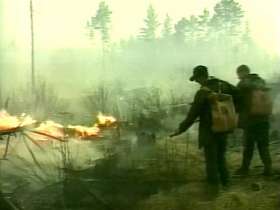 Для тушения природных пожаров привлечено 470 человек, 116 единиц техники. Фото: http://www.rtvi.ru/