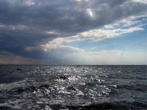 Северное море. Фото: http://natura.spb.ru