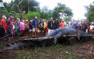 Гигантский крокодил на Филиппинах. Фото: http://donbass.ua