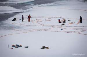 В Арктике нашли «следы» Витрувианского человека. Фото: Greenpeace