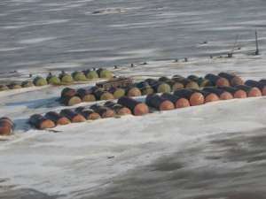 Бочки с нефтепродуктами на архипелаге Земля Франца-Иосифа. Фото: http://www.dvinainform.ru