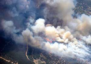 Лесные пожары в Техасе. Фото: http://www.vseneprostotak.ru