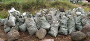 В лесах Лебяжьего и на Медном озере собрали более 1200 мешков мусора. Фото: http://47news.ru
