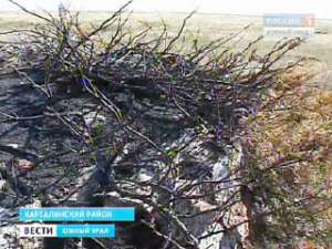 На Южном Урале огонь уничтожил уникальный памятник природы. Фото: Вести.Ru
