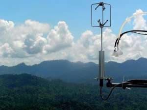 Измерение уровня озона над лесом в Малайзии (фото авторов исследования).