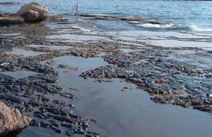 Разлив нефти. Фото: http://inhabitat.com