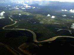Амазонка. Фото: http://newsland.ru