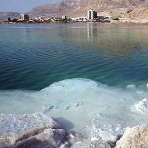 Мёртвое море полно жизни. Фото: Вокруг Света