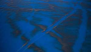 Утечка нефти у берегов Новой Зеландии продолжается. Фото: Голос России