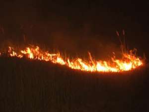 В крупнейшем птичьем заповеднике Европы бушуют пожары. Фото: Вести.Ru