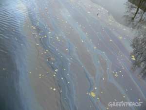 Гринпис требует от Полтавченко разобраться с нефтеразливами на Свердловской набережной. Фото: http://www.greenpeace.org