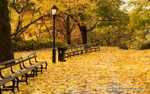 Осень в Нью-Йорке. Фото: http://free-screensavers-backgrounds.com
