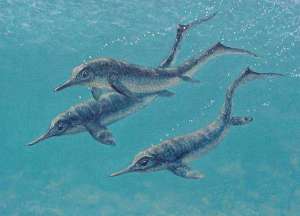 Стайка ранних и очень маленьких (1–2 м) ихтиозавров (Utatsusaurus hataii) ищет добычу близ современной Японии. (Иллюстрация Dan Varner.)