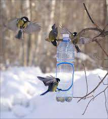 Покормите птиц зимой! Фото: domovenok.kz