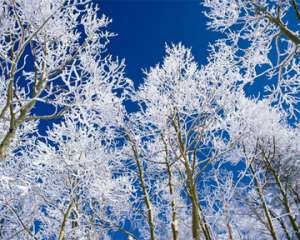Морозная зима. Фото: http://podrobnosti.ua