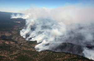 Лесные пожары в Аргентине. Фото: http://www.vigivanie.com