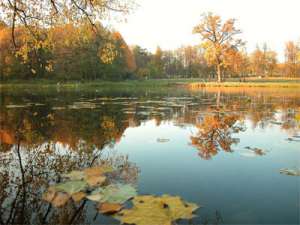 Кузьминский парк. Фото: http://park.uvao.ru