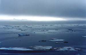 Северный Ледовитый океан. Фото: http://www.oceanology.ru