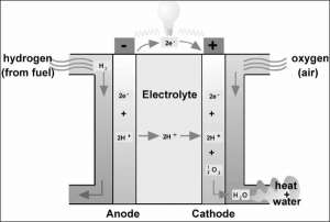 Схема устройства водородного топливного элемента (иллюстрация World Fuel Cell Council).