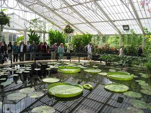 Королевские ботанические сады в Кью. Фото: http://nikitindima.name