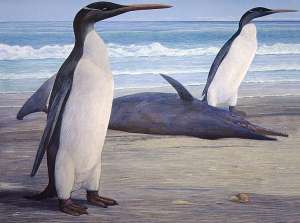 Пингвины кайруку и дельфин Waipatia maerewhenua, тоже вымерший. (Рисунок Chris Gaskin.)