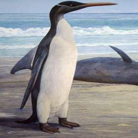 Гигант среди пингвинов. Фото: http://nationalgeographic.com