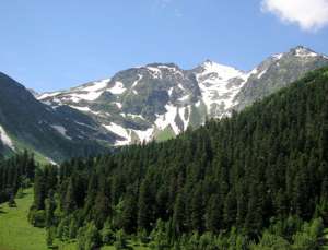 Природа Кавказа. Фото: http://www.sochi.info