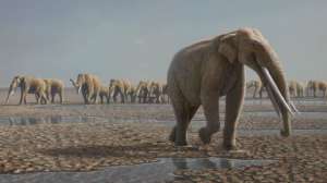 Следы принадлежали не индийским или африканским слонам, а их предкам – представителям ныне вымершего рода Stegotetrabelodon (иллюстрация Mauricio Ant&amp;#243;n).