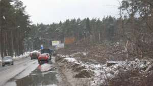 Вырубка леса в Жуковском. Фото: http://youreporter.ru