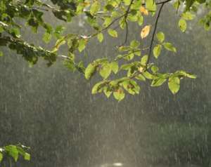 Весенний дождь. Фото: http://www.topnews.ru