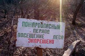 Посещение леса запрещено. Фото: http://susanin.udm.ru