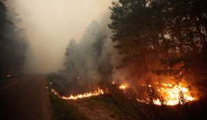 1,6 тысячи гектаров леса горят в Бурятии. Фото с сайта &quot;Голос России&quot;