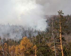 Лесные пожары в Забайкалье. Фото: http://www.epochtimes.ru