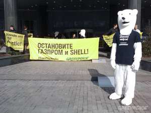 Белые медведи просят инвесторов не вкладывать деньги в разрушение Арктики. Фото: Greenpeace