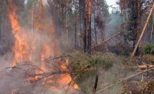 Пожары в Забайкалье. Фото: http://www.itar-tass.com