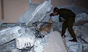 Израиль поможет палестинцам в случае землетрясения. Фото: http://www.mignews.com